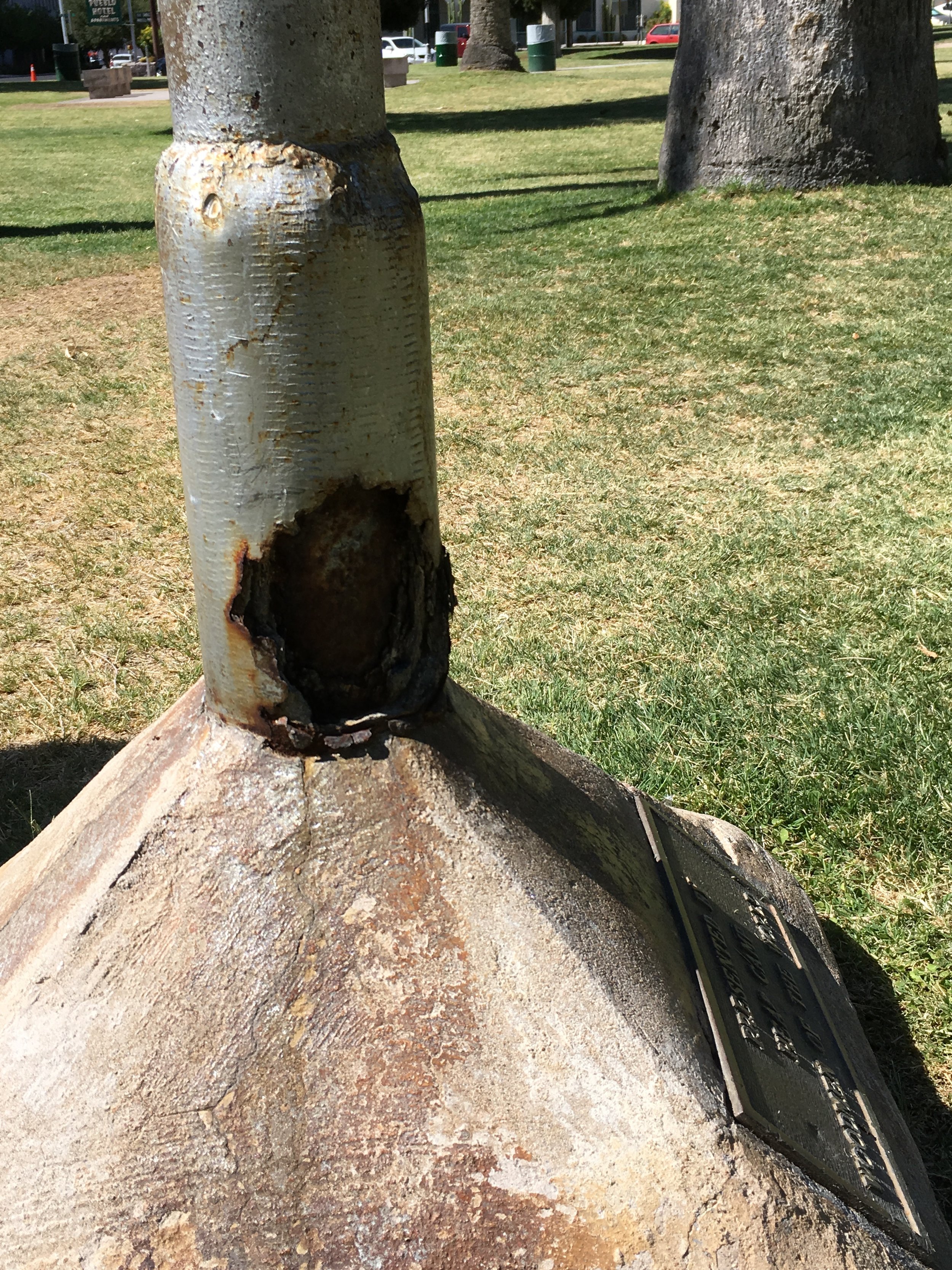 I am sorry to report that there's no flag today at the World War I memorial on South Sixth Avenue downtown. As you can see, the base of the pole is rusting away. It was erected at Armory Park in 1949 by the Woodmen of the World, a fraternal organization. The Tucson High band played at the dedication, which was attended by mayor E.T. Houston.