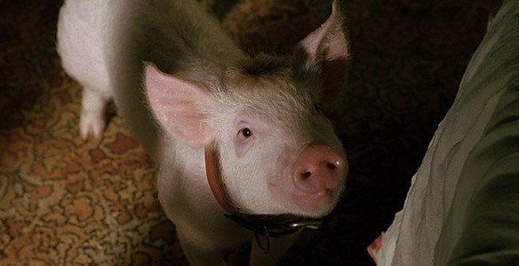 4162_1_babe_pig_in_the_city_1998_blu_ray_movie_review_full.jpg