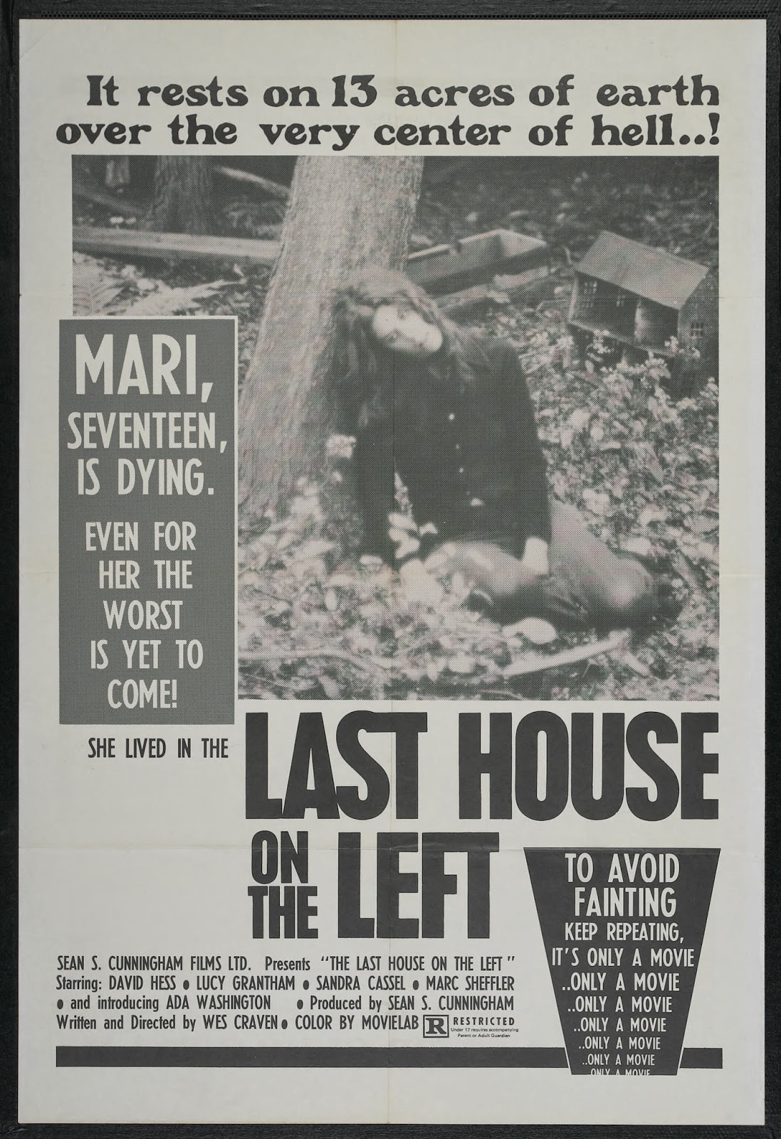 THE LAST HOUSE ON THE LEFT - American Poster.jpeg