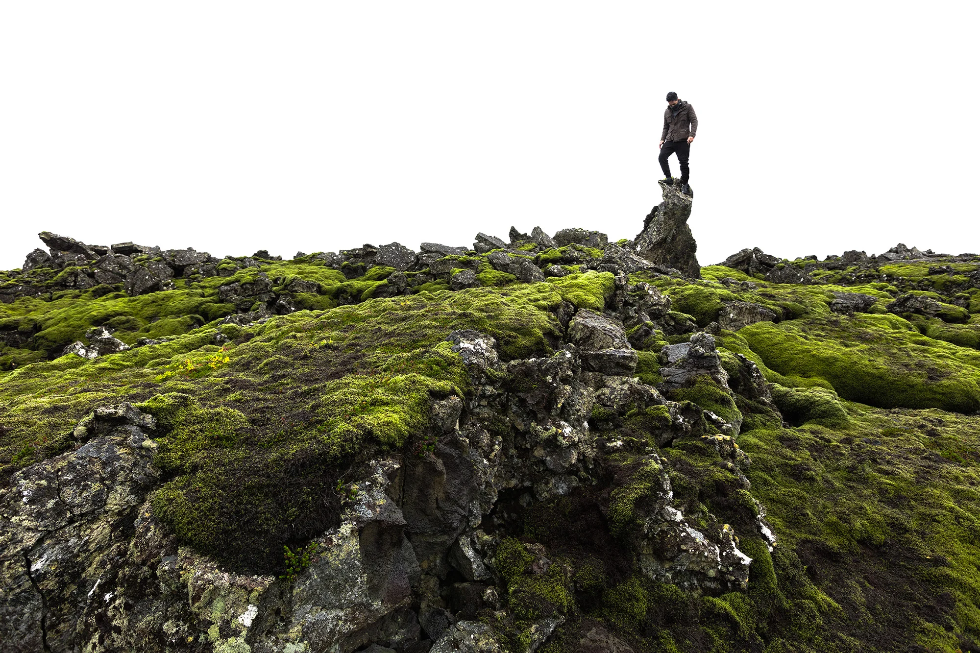 Moss Field_Double_1.jpg
