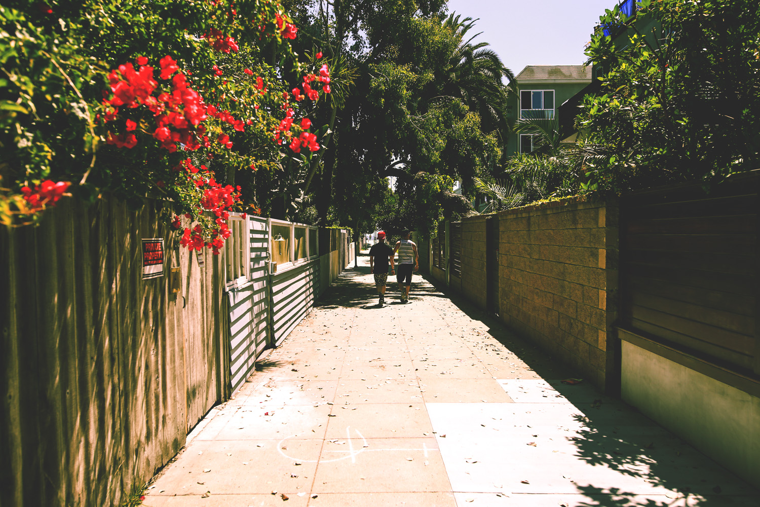 Alleyways to Venice Beach.