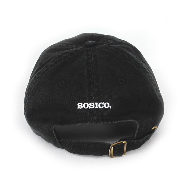 b2bs3_dadhat_backw2.jpg