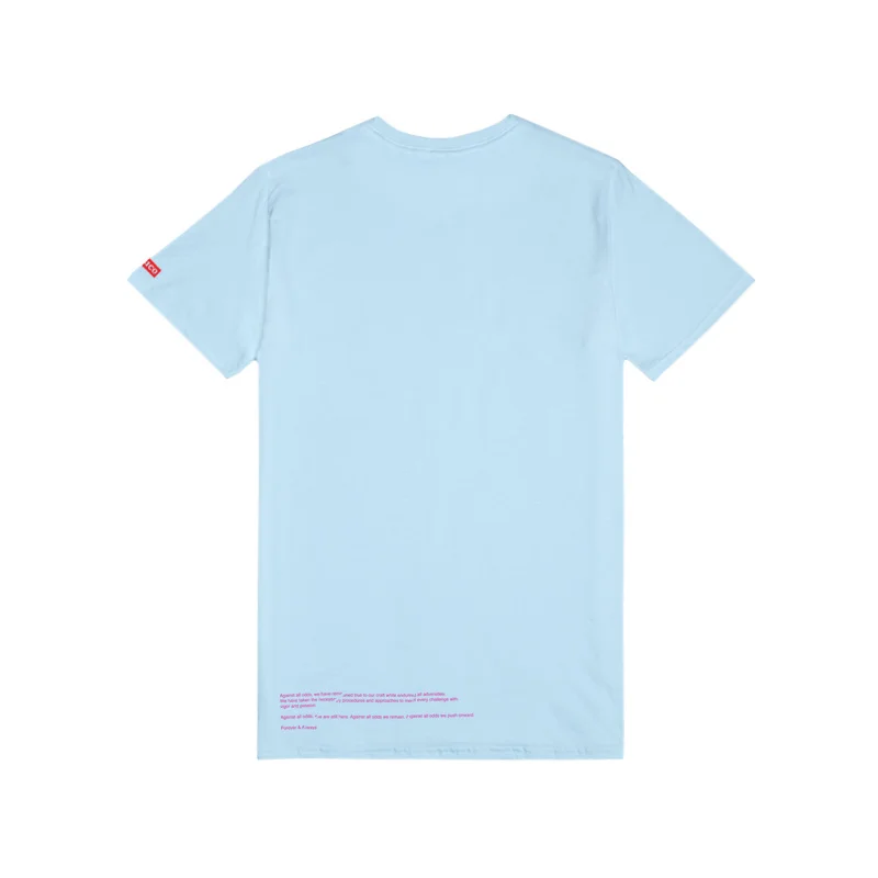 SOSICO_AAO_ShopTee_Chambray_Back.jpg