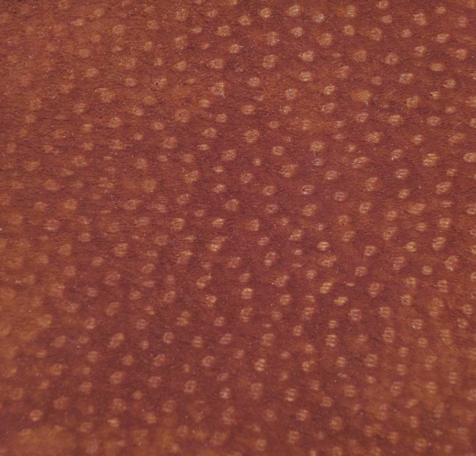 CarpinchoWallet-ZoomExterior.jpg