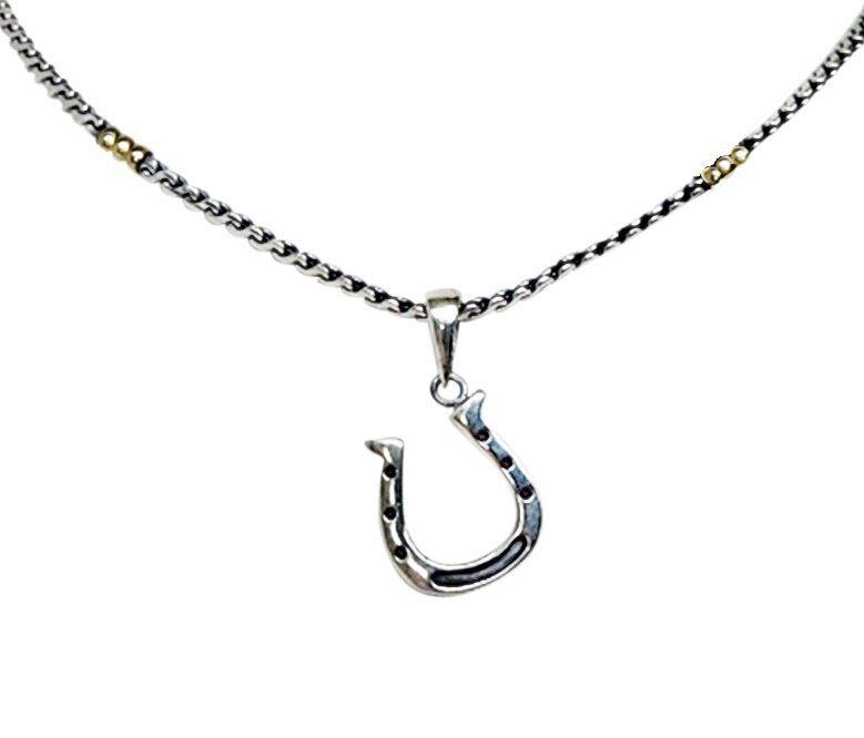 Sterling Silver Horse in Horseshoe Charm on a Box Chain Necklace 