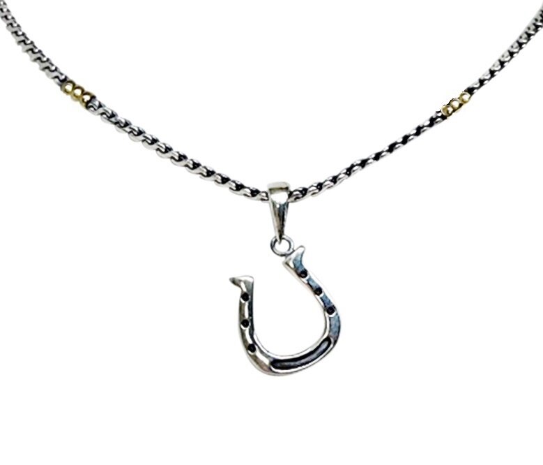 Sterling Silver Horse in Horseshoe Charm on a Box Chain Necklace Sterling Silver Horse in Horseshoe Charm on a Box Chain Necklace