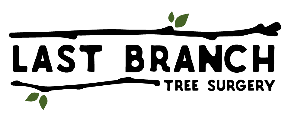 Image of Last Branch Tree Surgery Logo. Text and horizontal black stick imagary