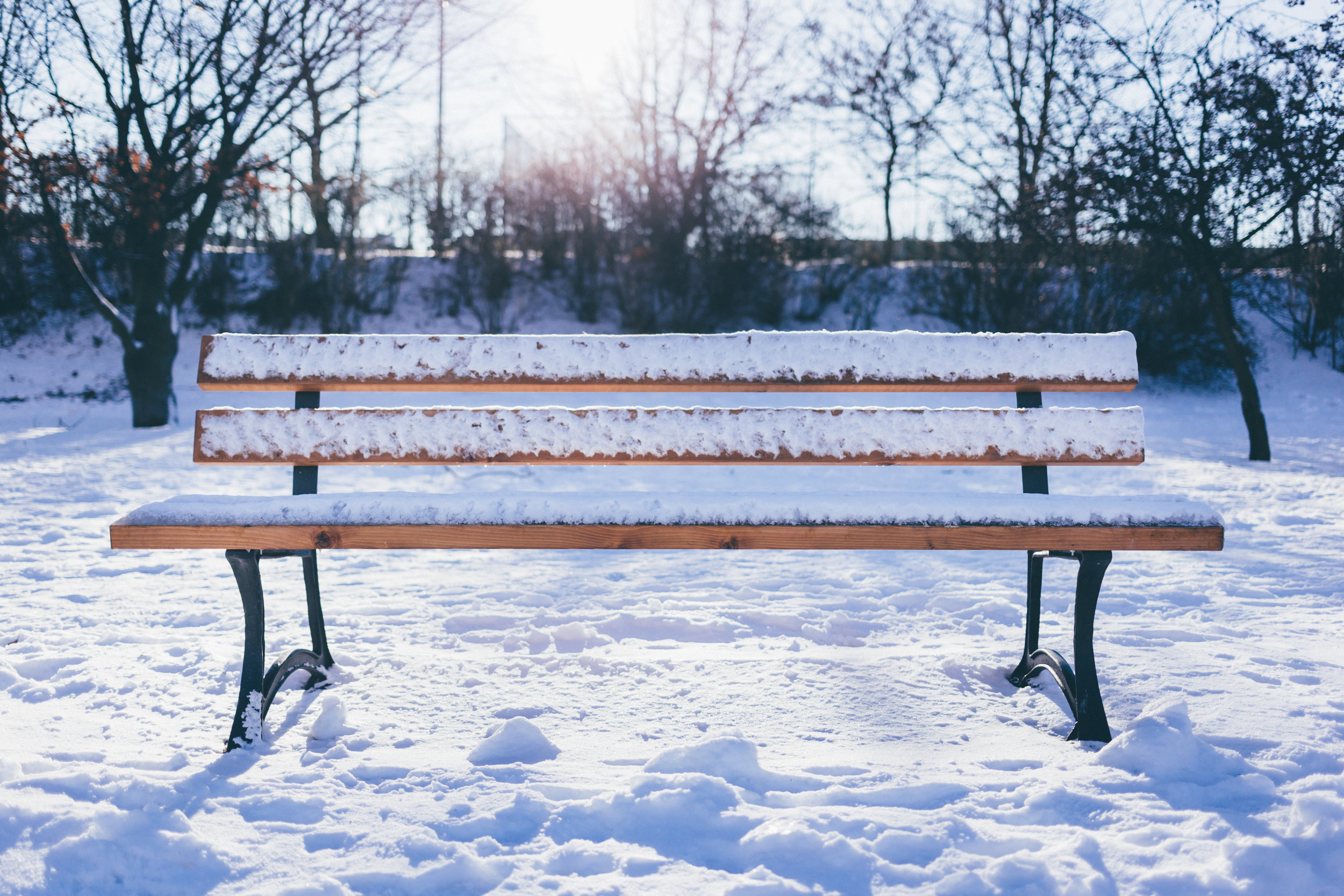 Bench.jpeg