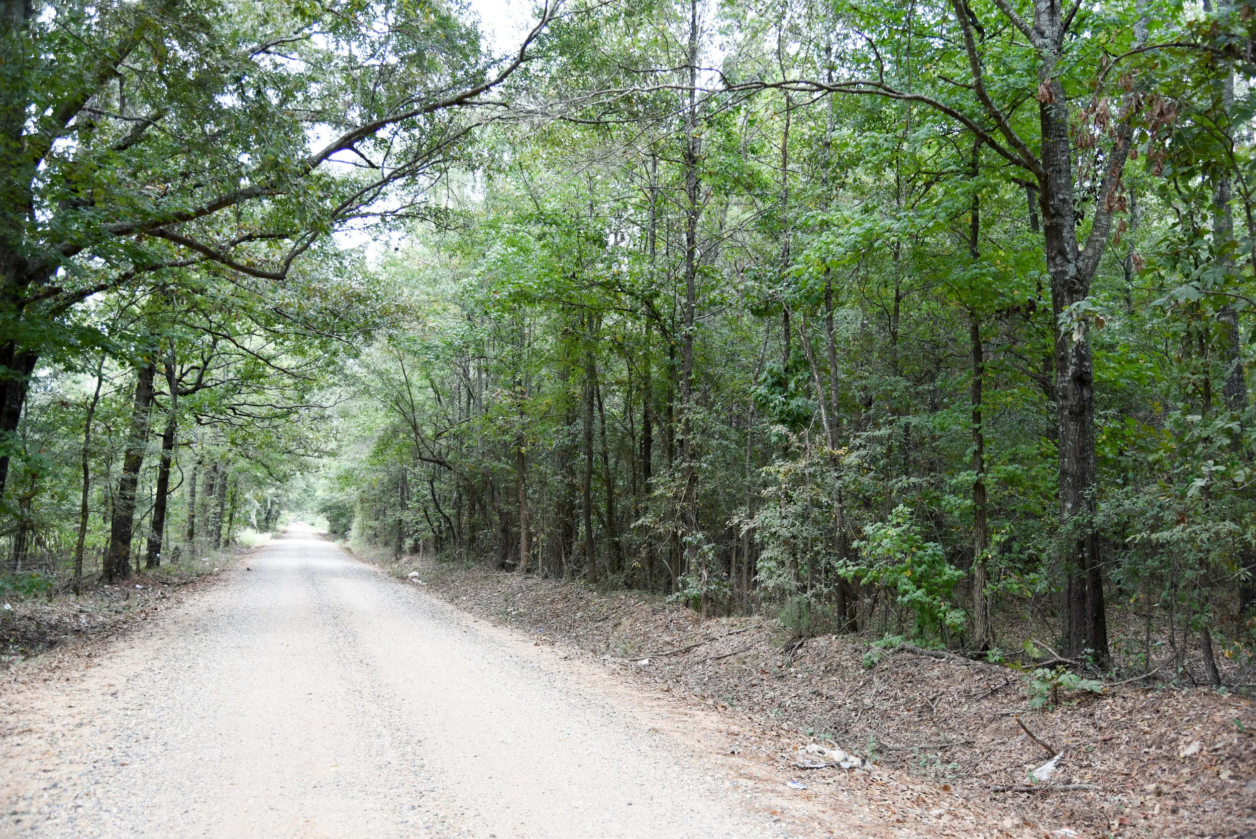 DSC_0198.jpg