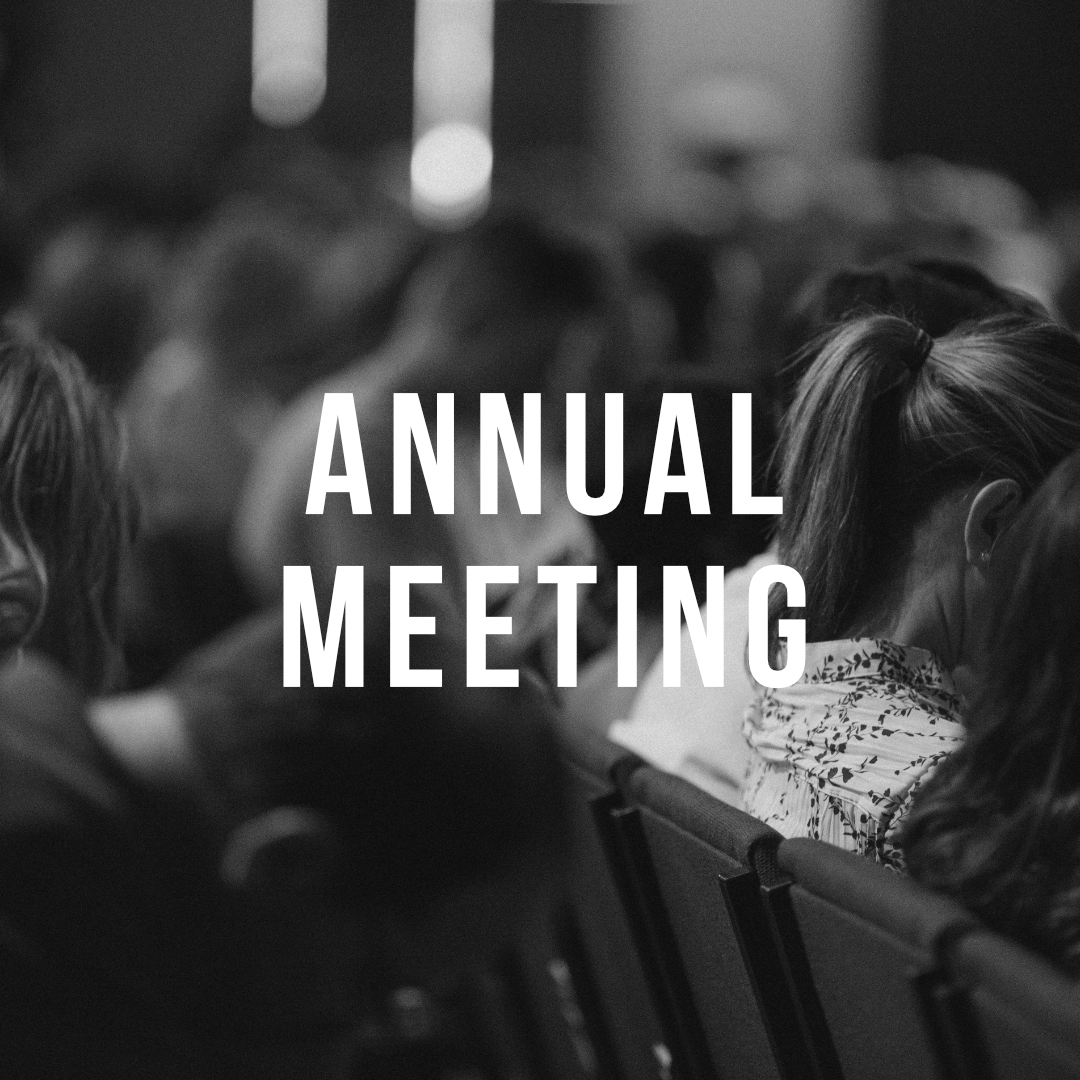Annual Meeting