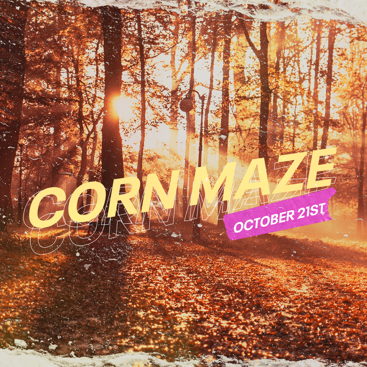 180 Youth -  Corn Maze Night!