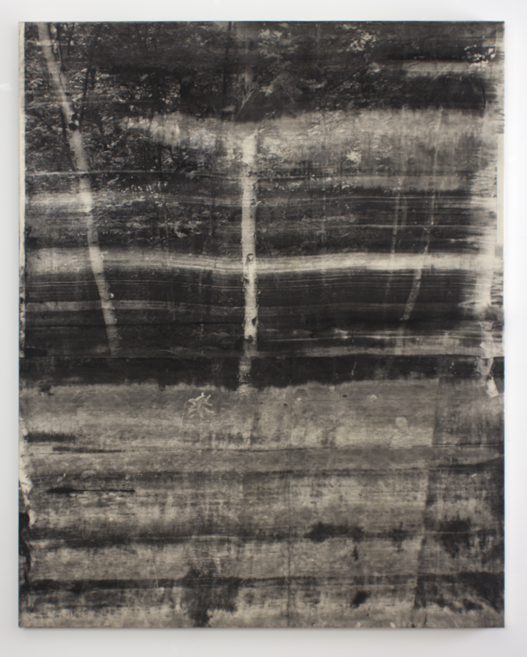 Landscape No. 7 , 2015 copy-machine toner on canvas 50 x 65 in