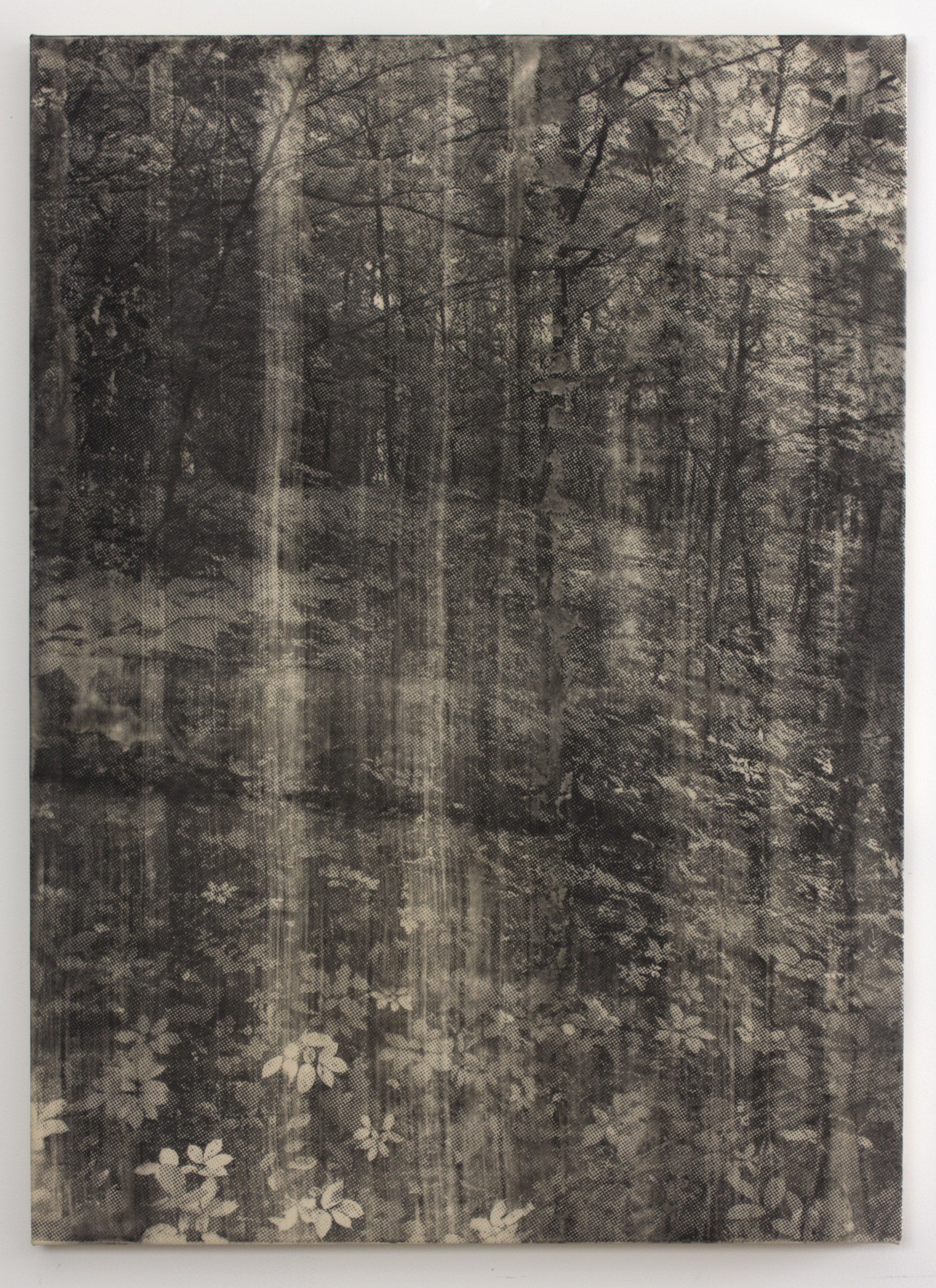 Landscape No. 9 , 2015 copy-machine toner on canvas 36 x 48 in