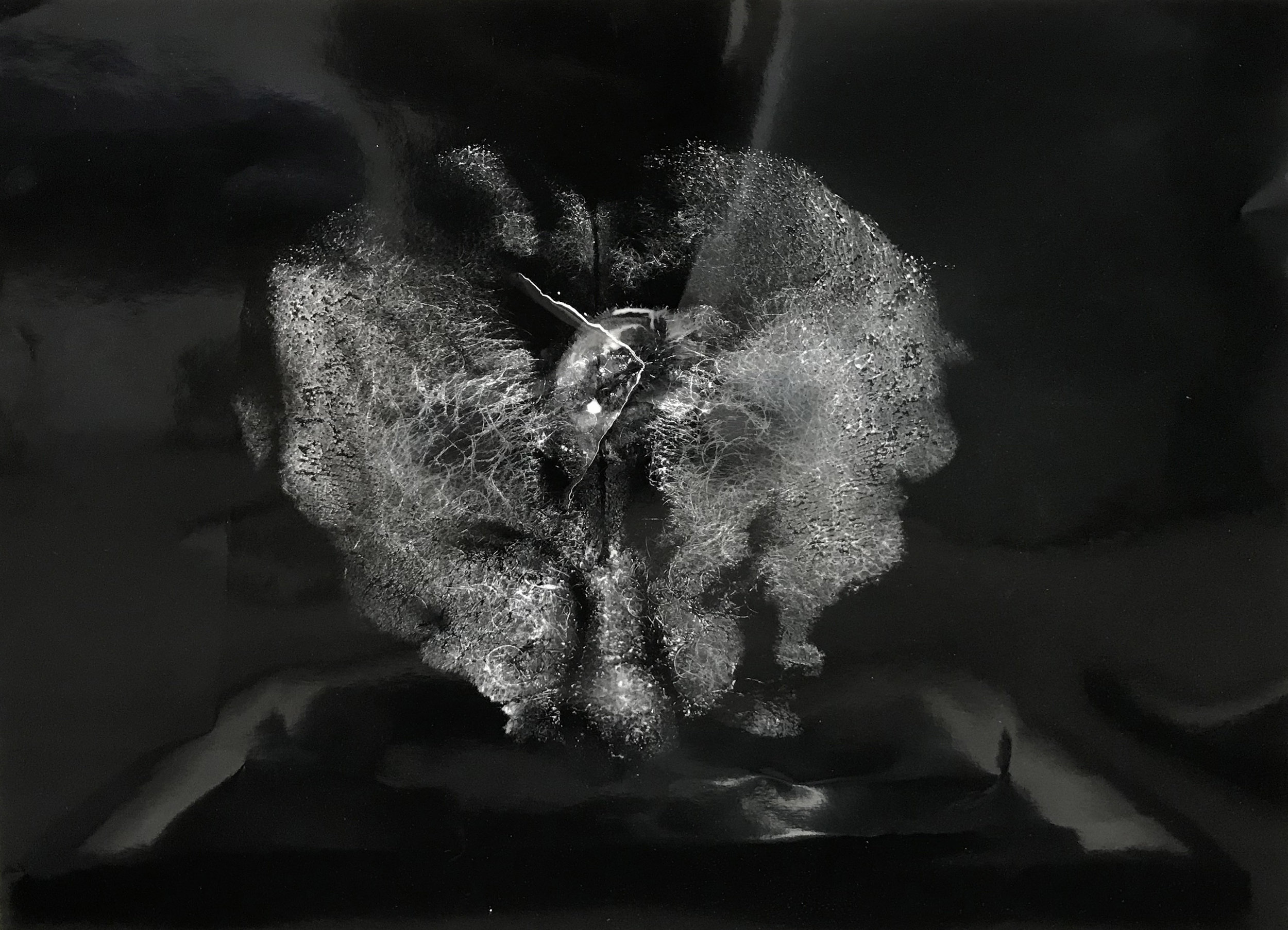 Mouth-To-Ass. Ouroboros; No longer an Open System. (HDE) silver gelatin print 16 x 20 in