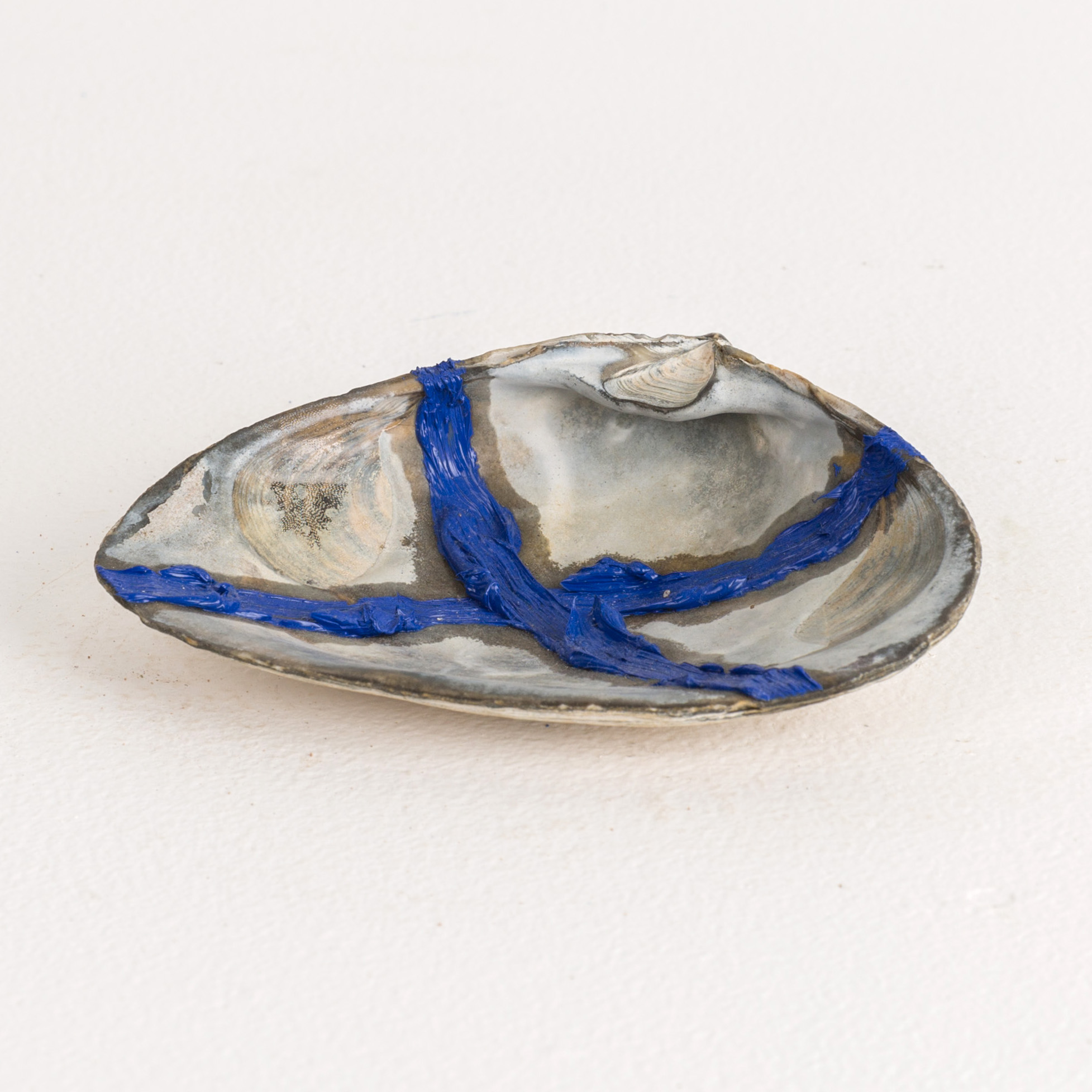 A Seashell , 2018 oil, shell 1-1⁄4 x 4 x 5 in