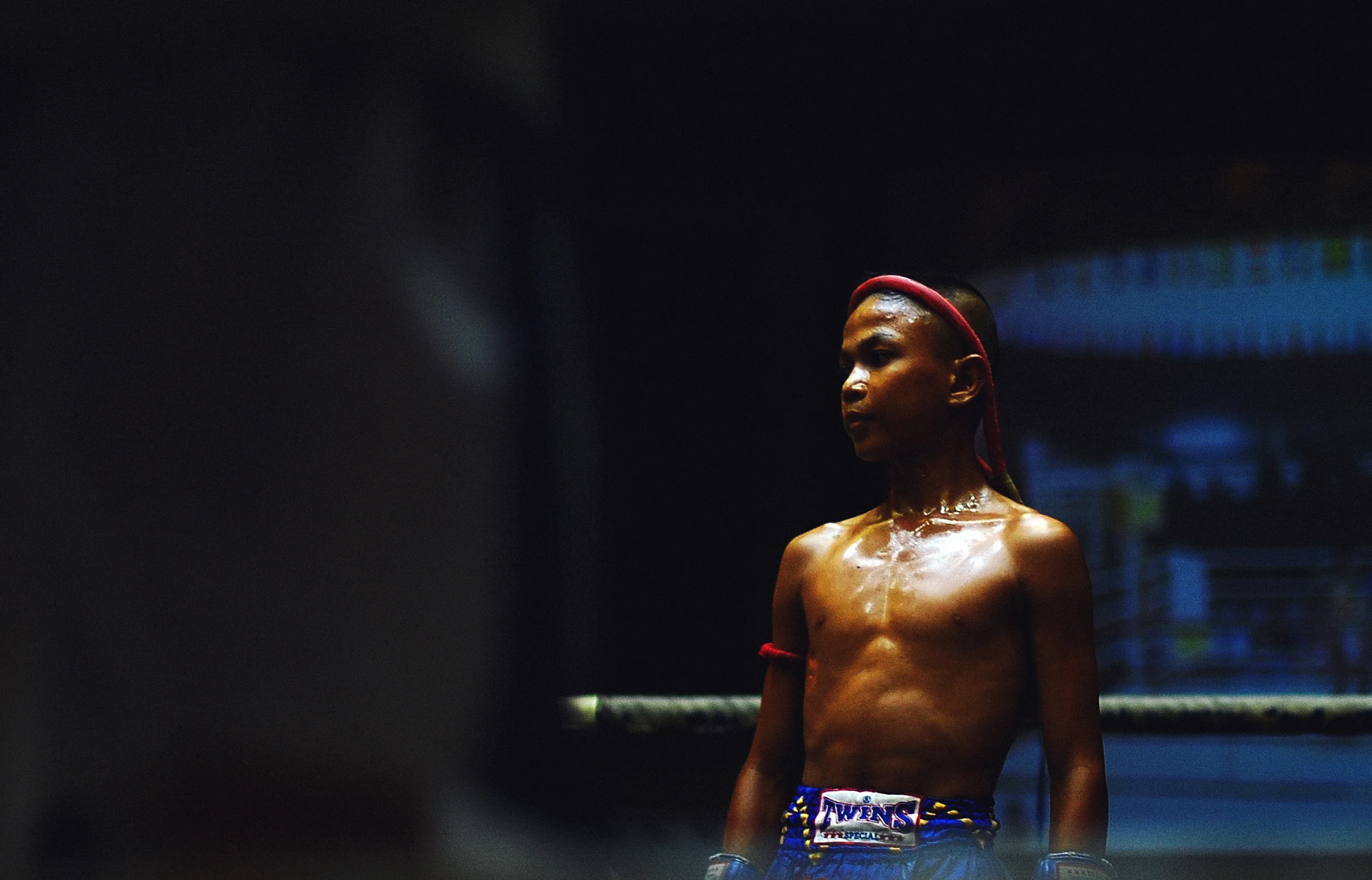 VICTIM, WARRIOR & 100%