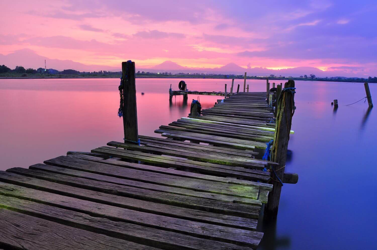 purple+bridge (1).jpeg