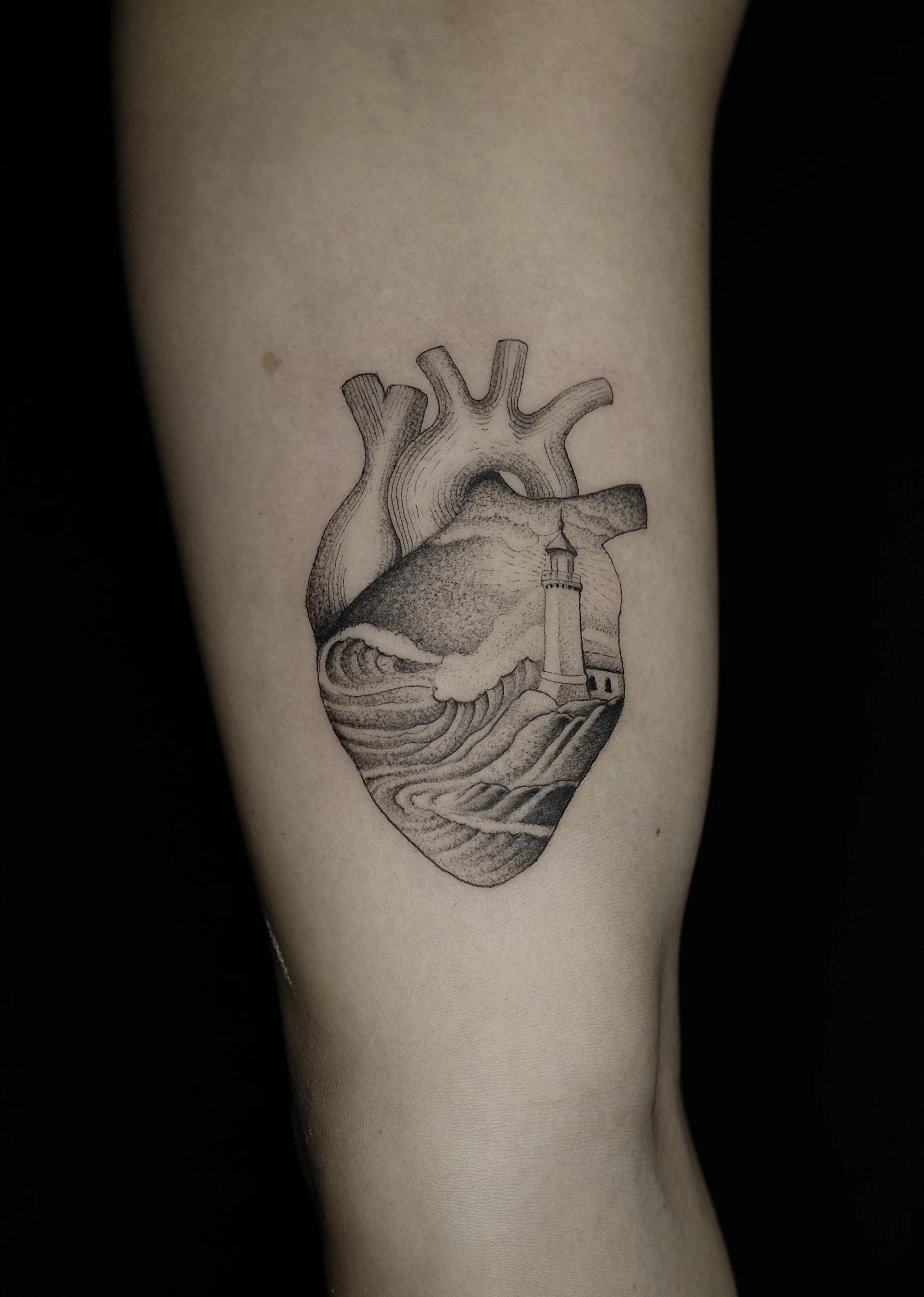 heart.jpg