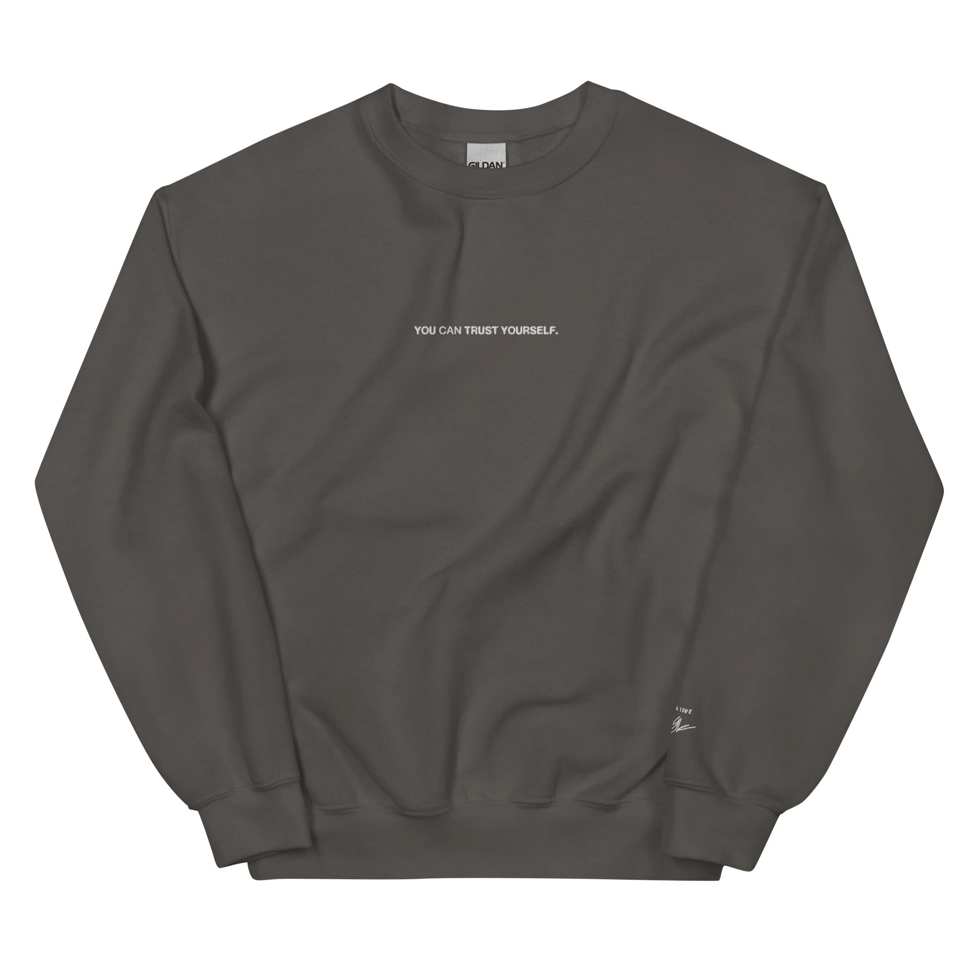 unisex-crew-neck-sweatshirt-charcoal-front-6839a2c6b2160.jpg