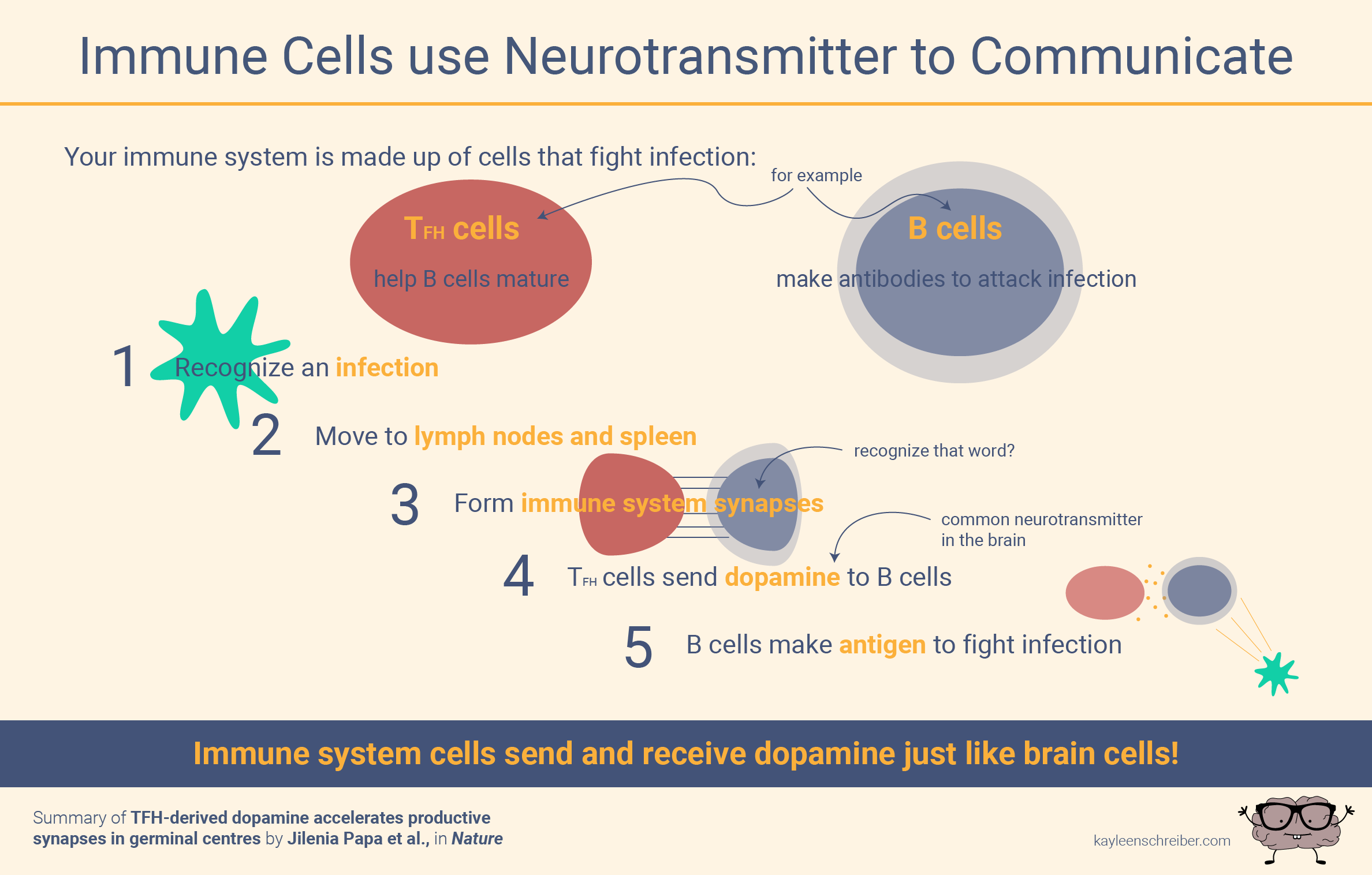 DopamineImmune-01.png