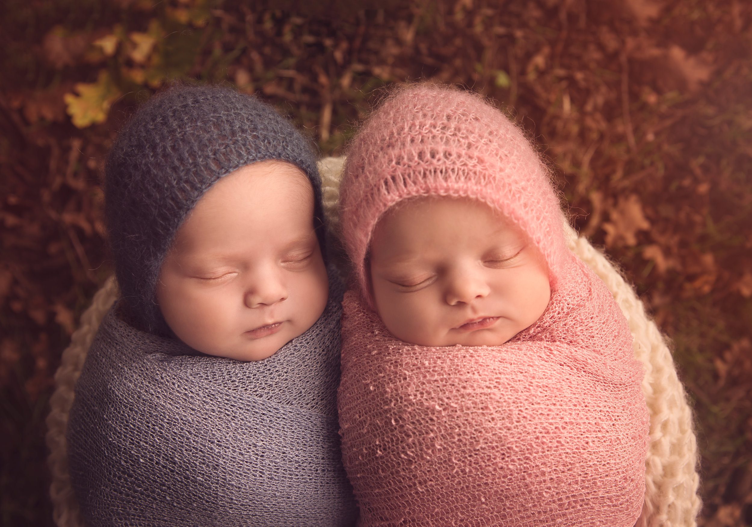 Newborn twins. Photoshoot outside. Autumn colours