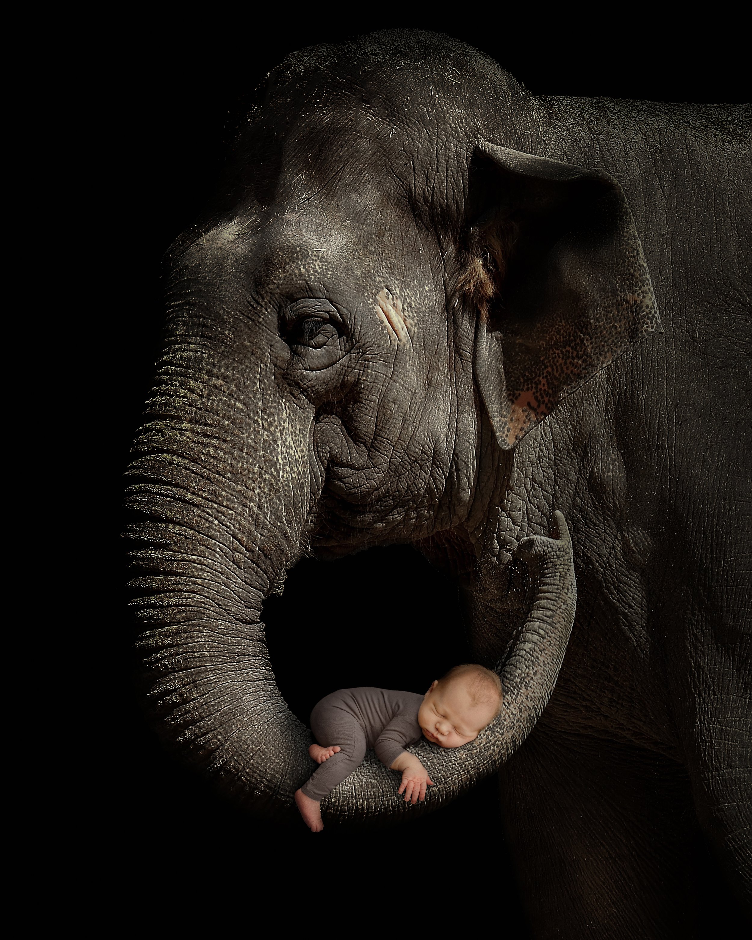 Elephant&Hugo.jpg