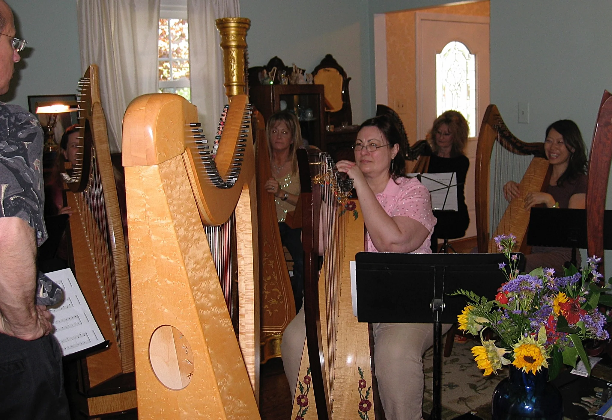 Adult harp ensemble Write here...