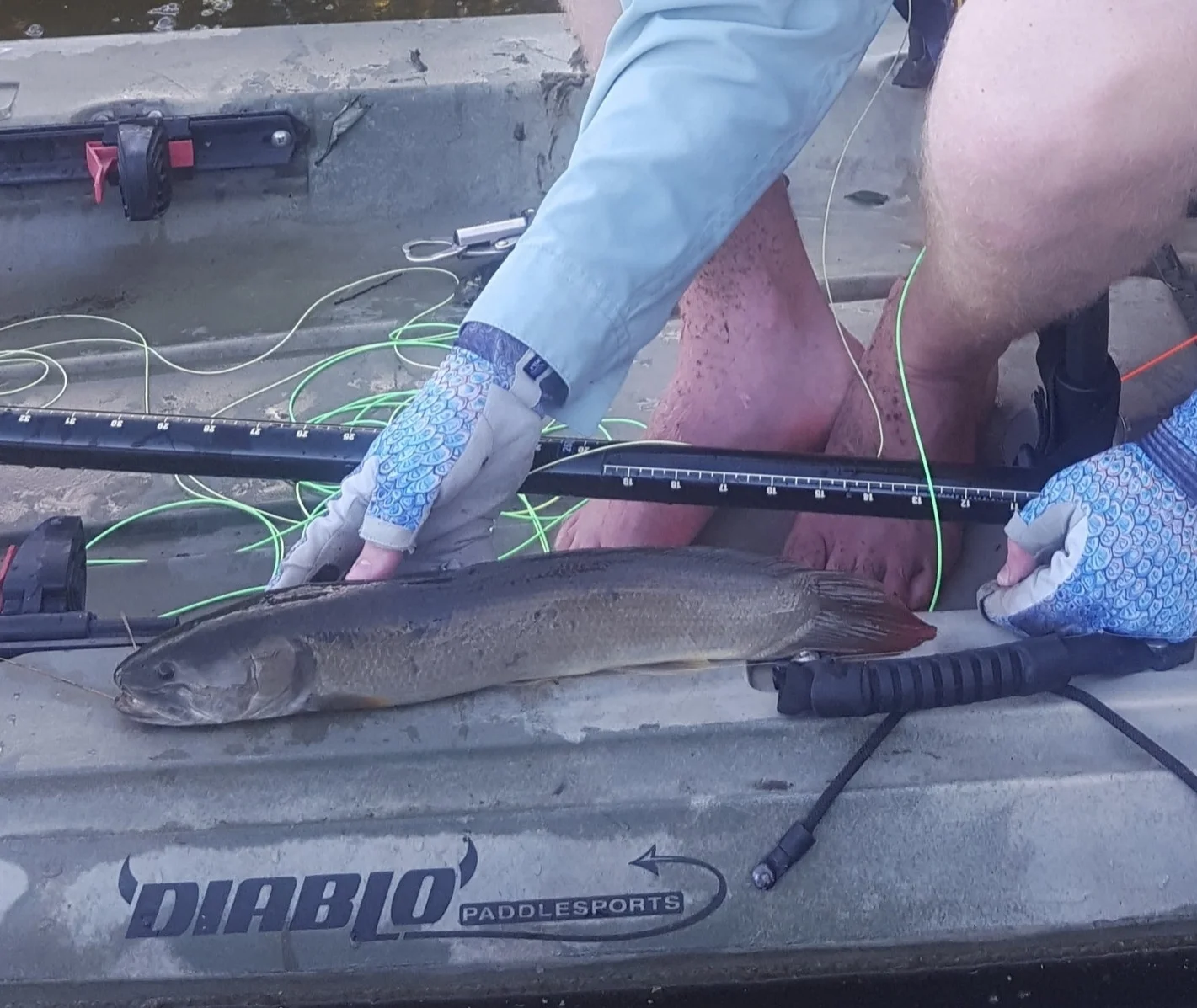 Photo gallery — Houston Fly Fishing Guide Services