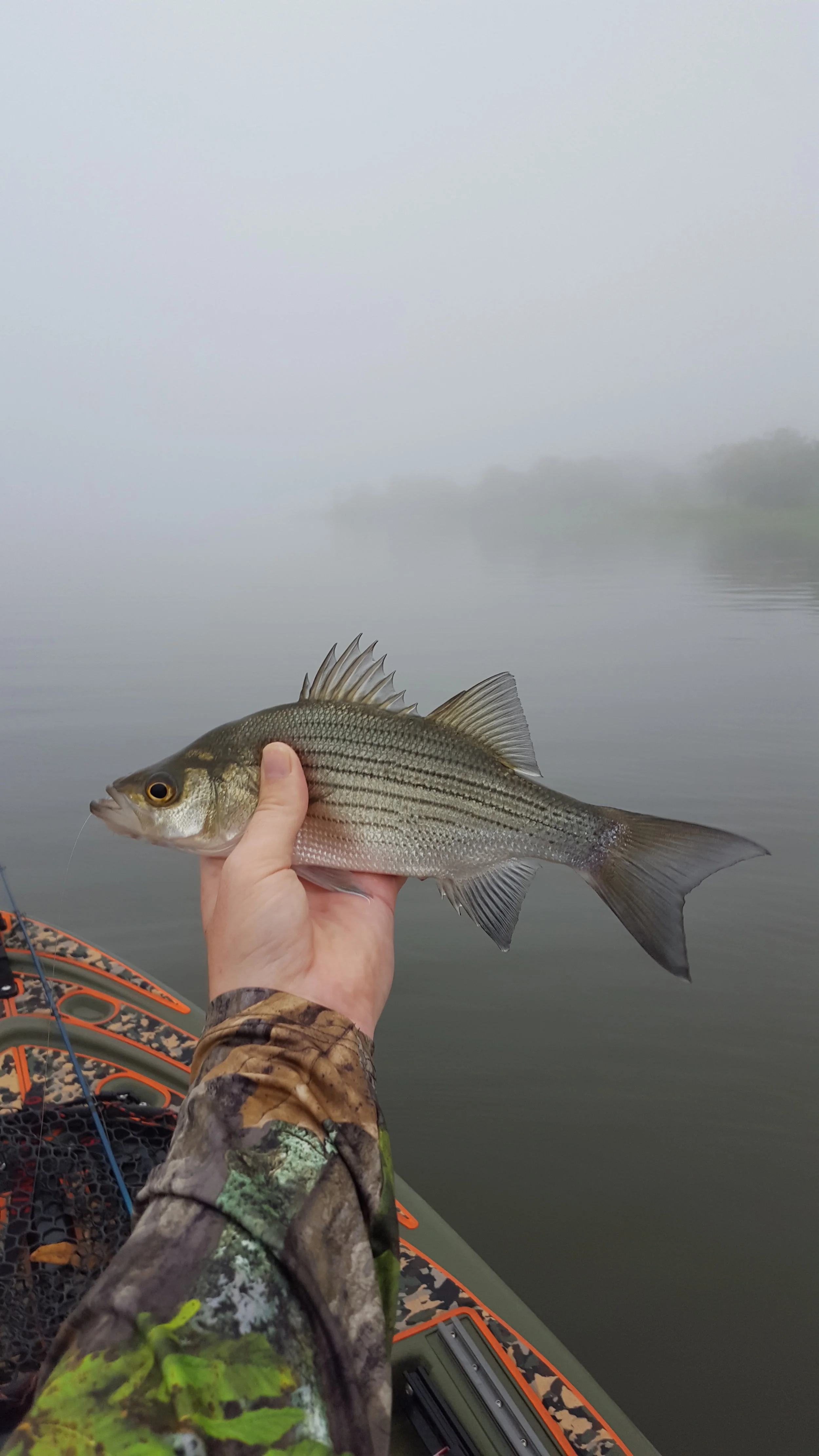20181002_075423.jpg