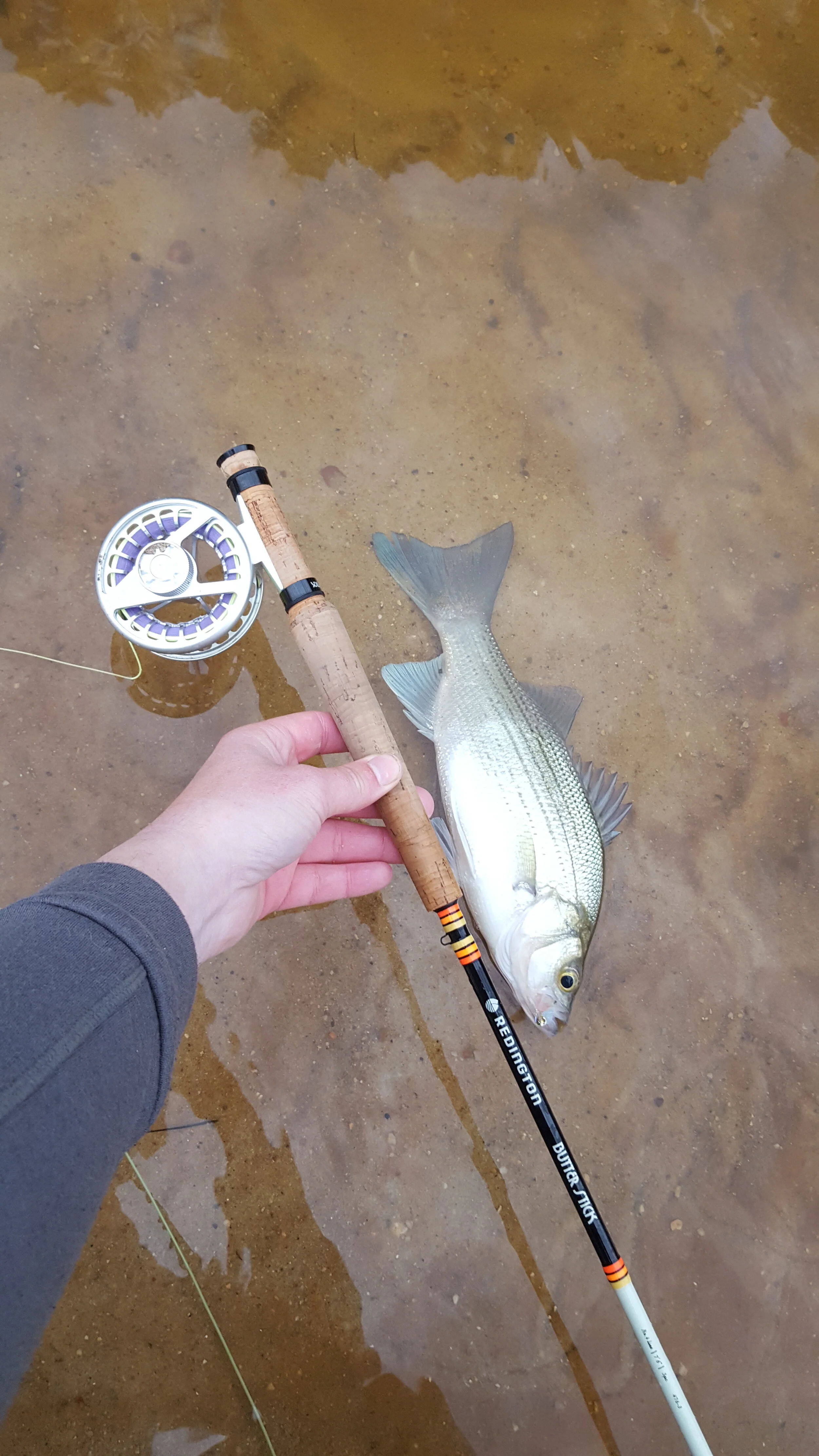 12920 Report/Forecast — Houston Fly Fishing Guide Services