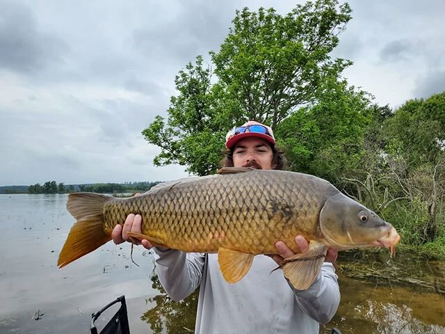 Was expecting to do some topwater bass fishing but could hear carp spawning in the distance and couldn't resist. 📸 @dr.rodnreel 
#houstonflyfishingguideservice #Houstonflyfishing #carponthefly #commoncarp #carpbreakfast #texasflyfishing #redingtonge