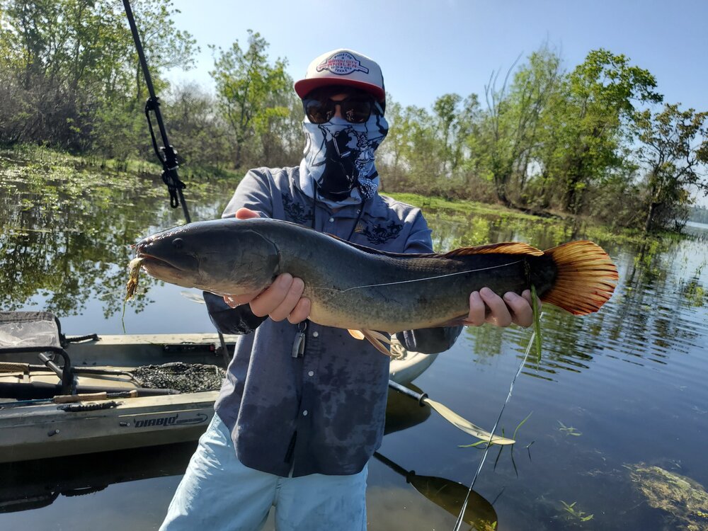 Texas fly fishing report May 2020 — Houston Fly Fishing Guide Services