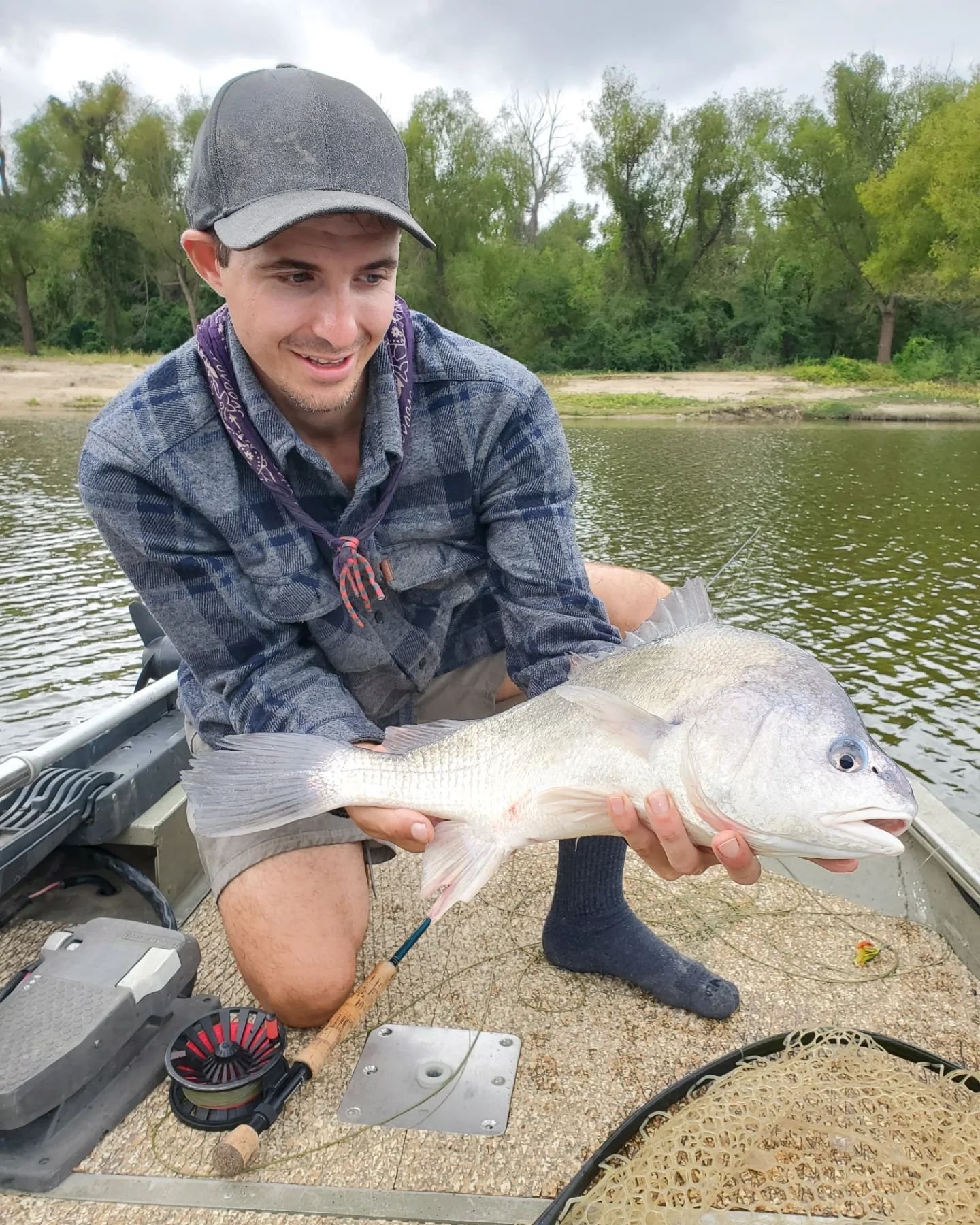 While alligator gar are the main attraction on this river. There's plenty of other fish willing to eat flies.
#alligatorgaronthefly #drumonthefly #smallmouthbuffalo #buffsonthefly #catfishonthefly