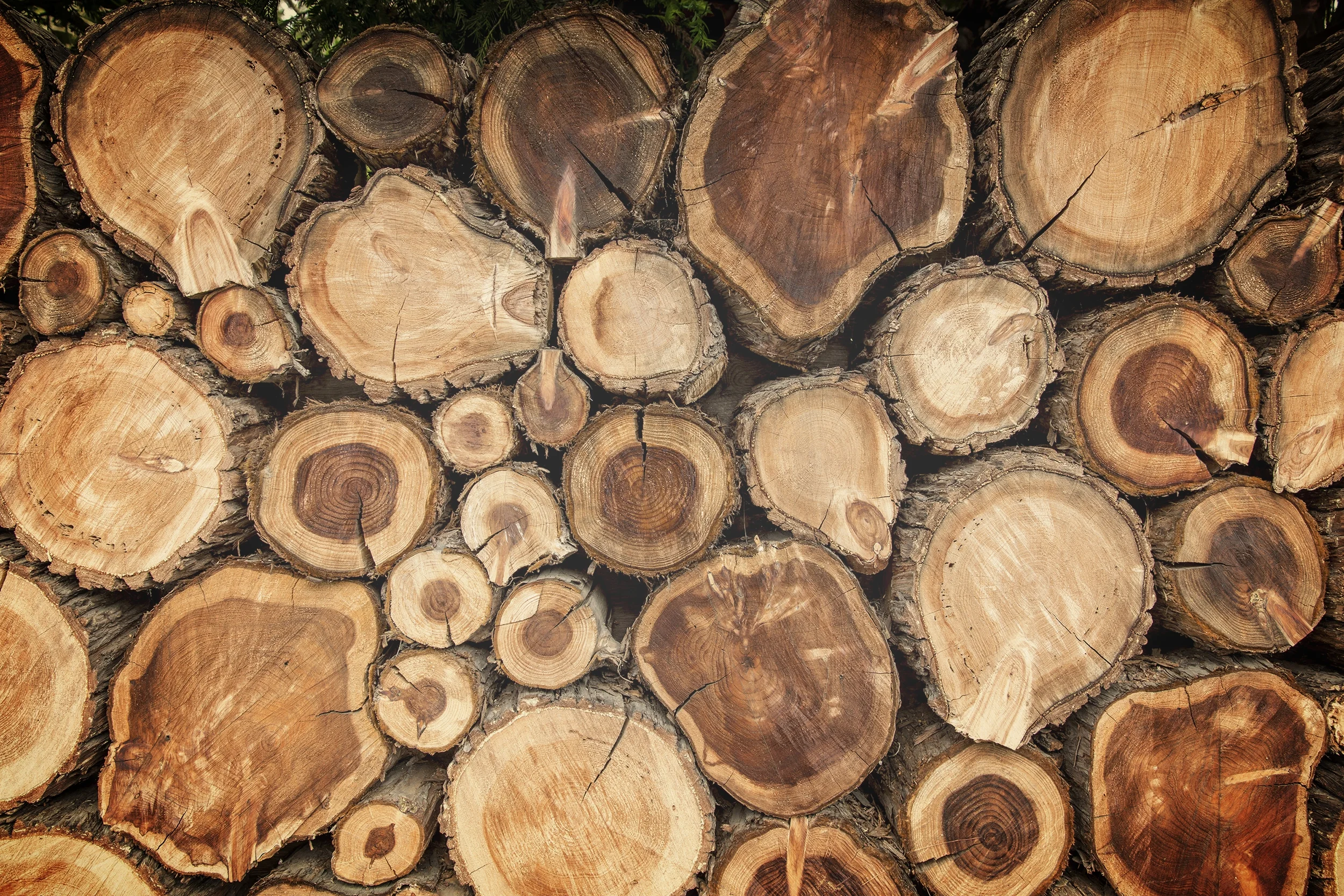 iStock_92503769.jpg