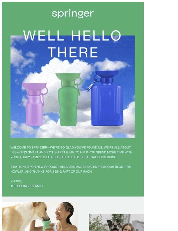Springer email.jpg