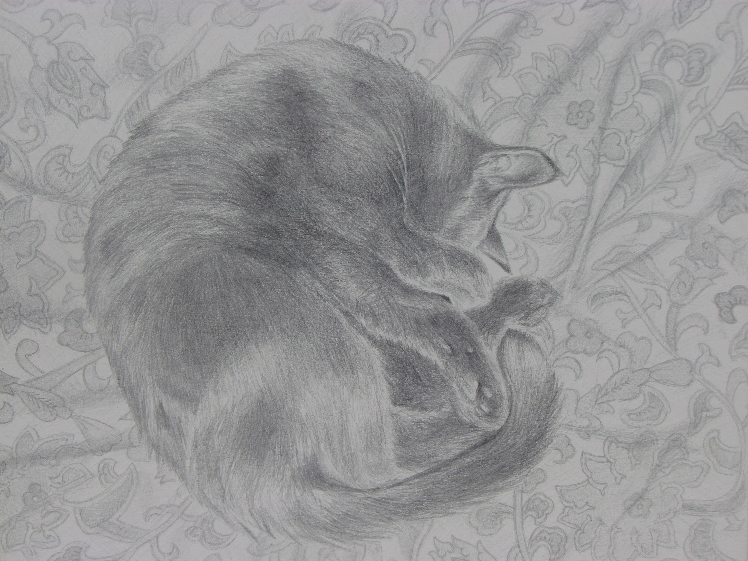 Sleeping Cat (Pico)