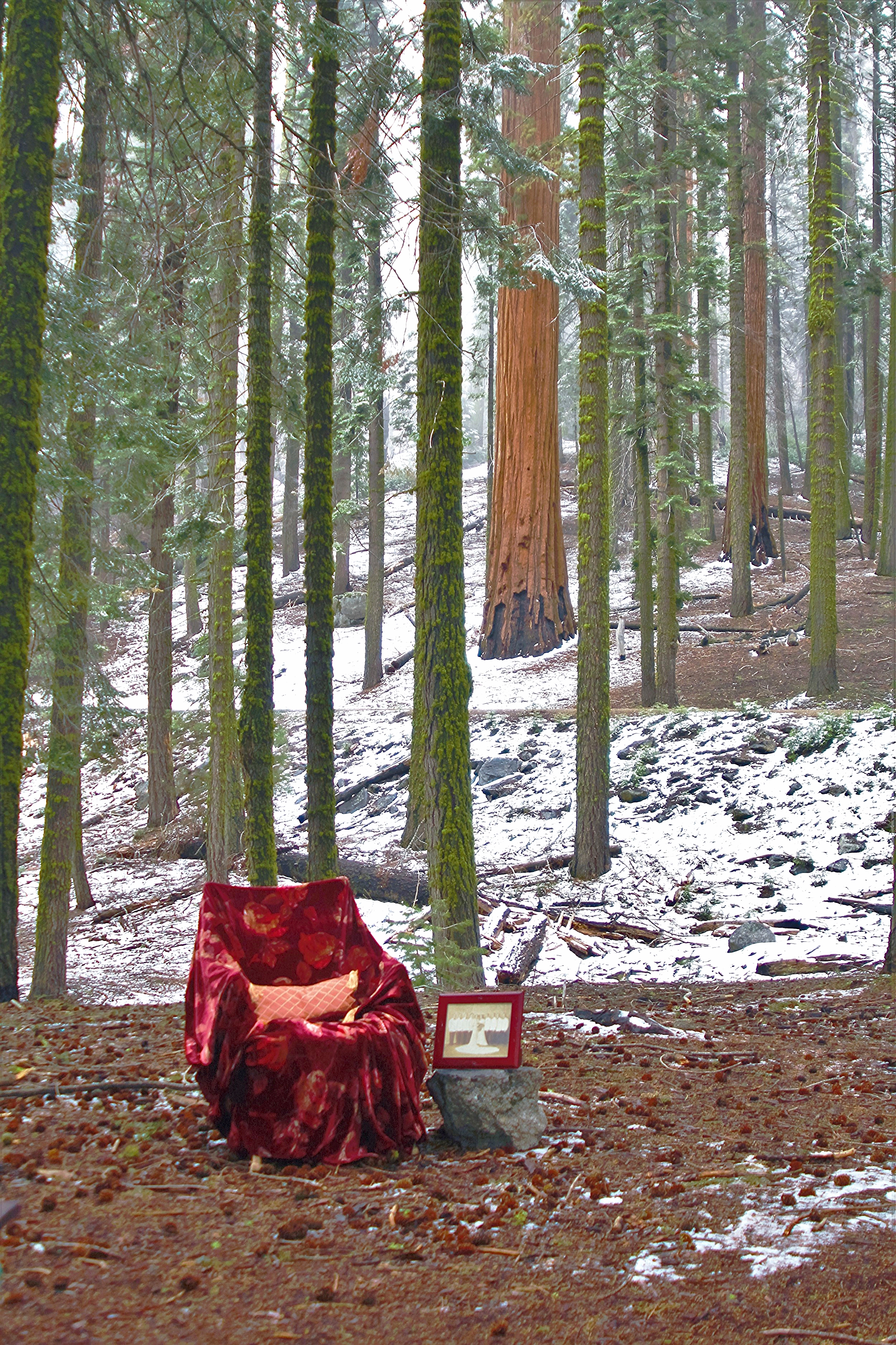 Solitary Seat