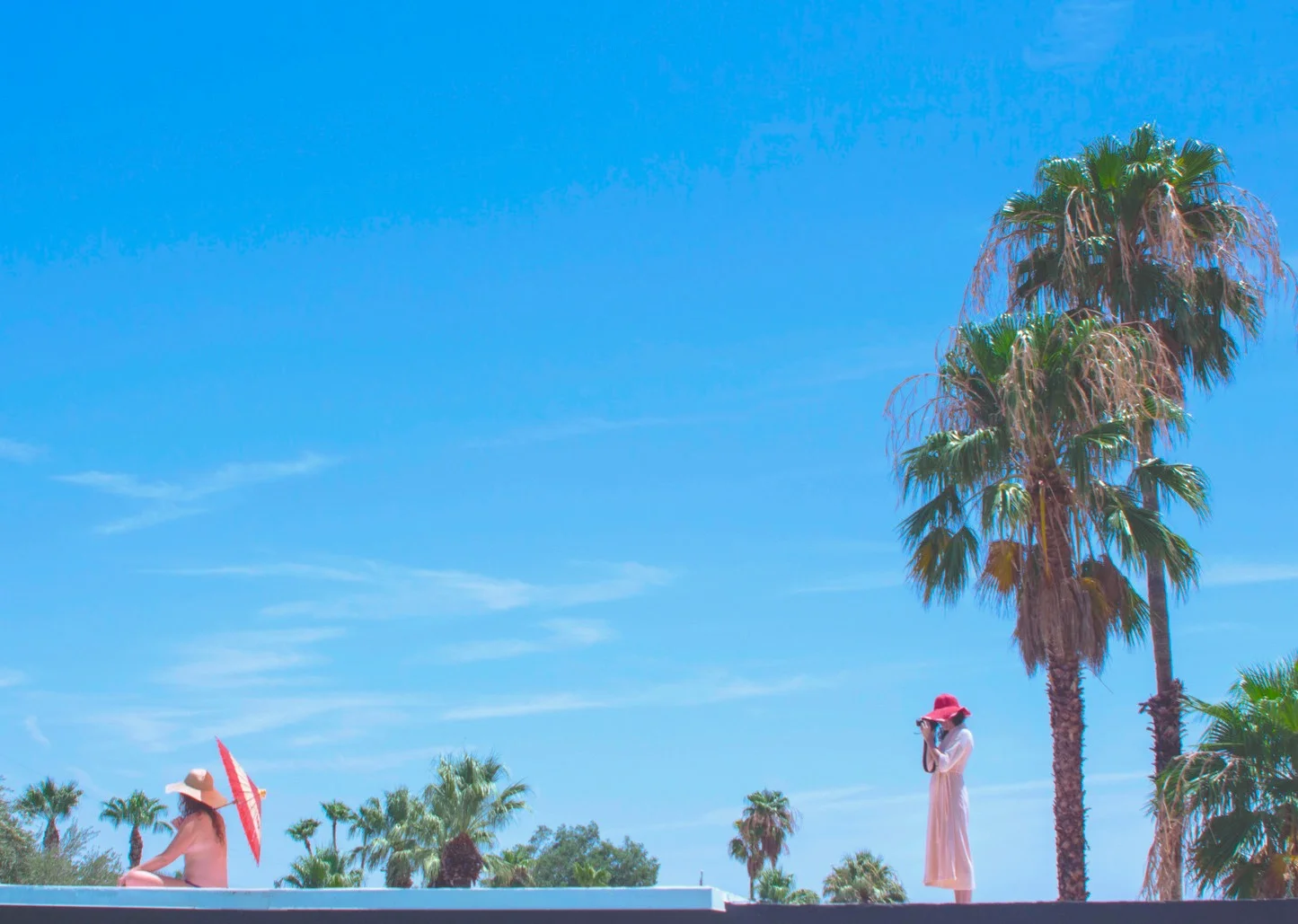 The  Observer Effect