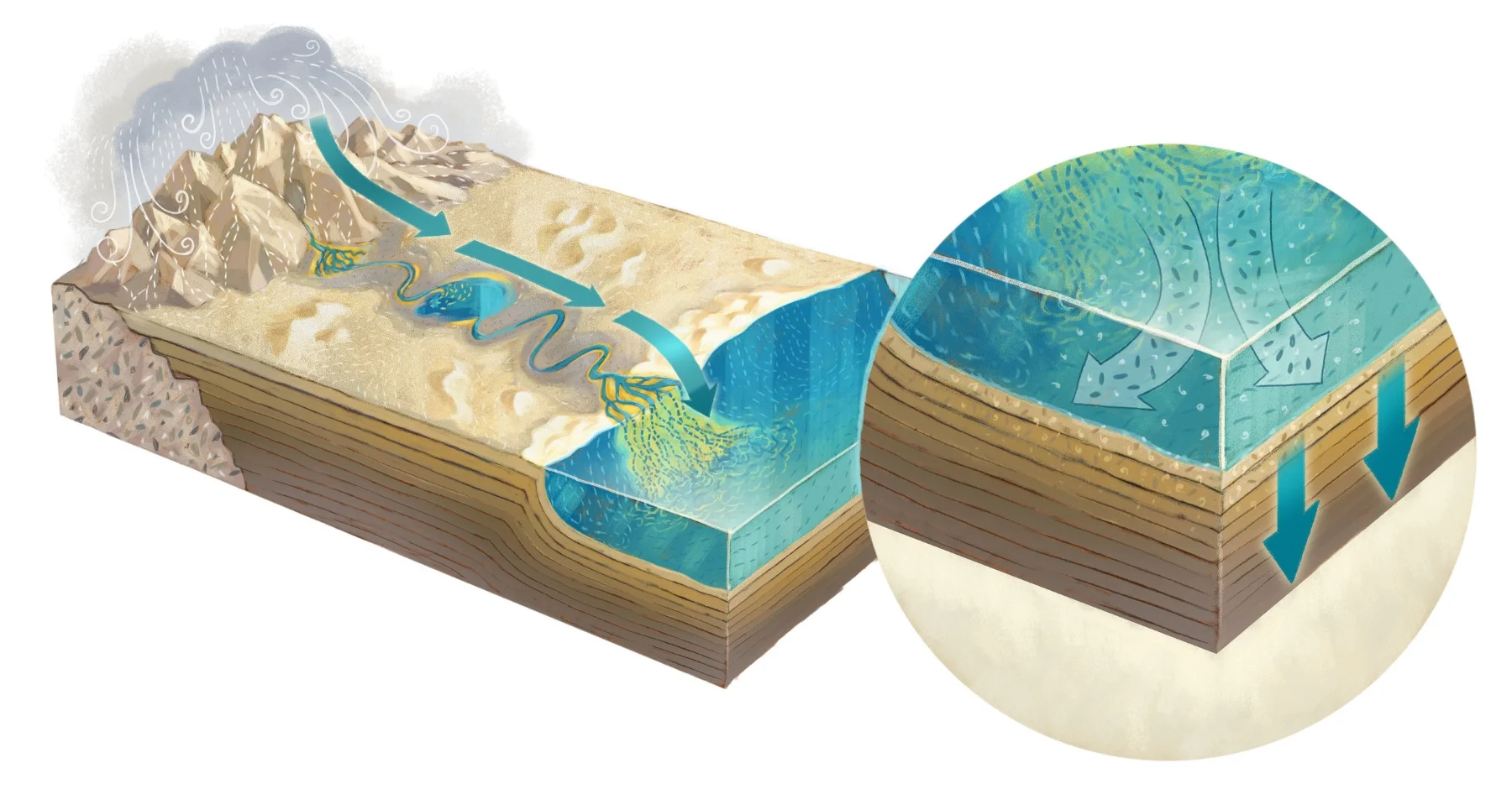 Process of Erosion, exhibit graphic
