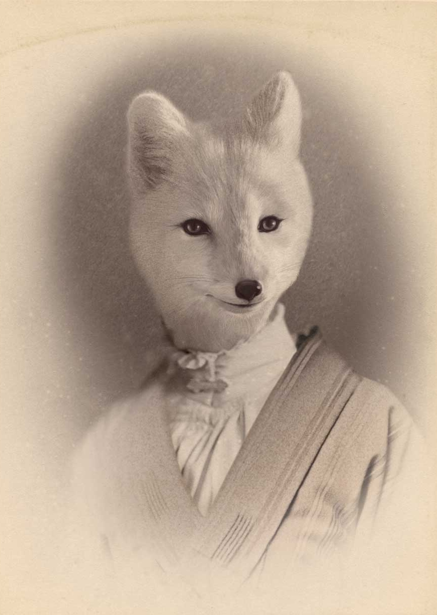 CDV_INARI_03.jpg
