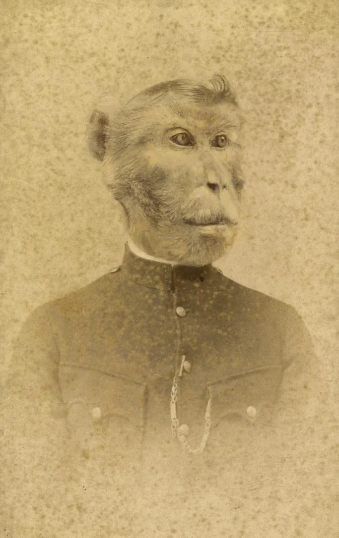 RASOOL_CDV_084.jpg