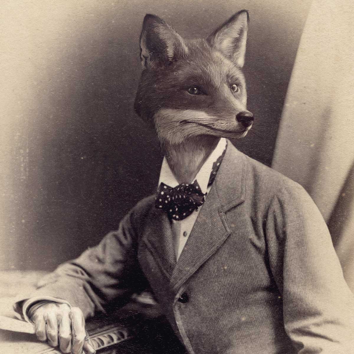 unlucky-fox-insta-CDV-03.jpg