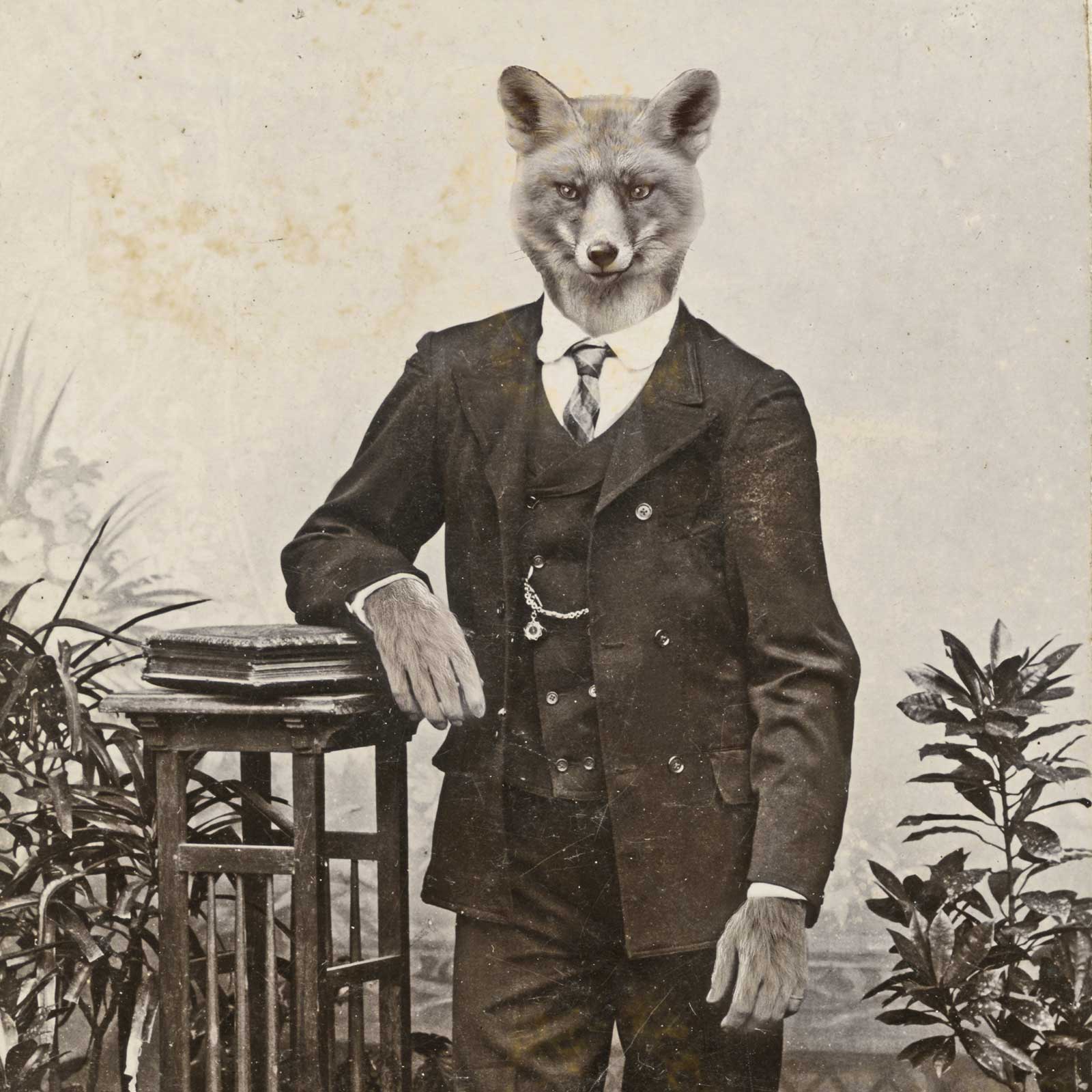 unlucky-fox-insta-CDV-07.jpg