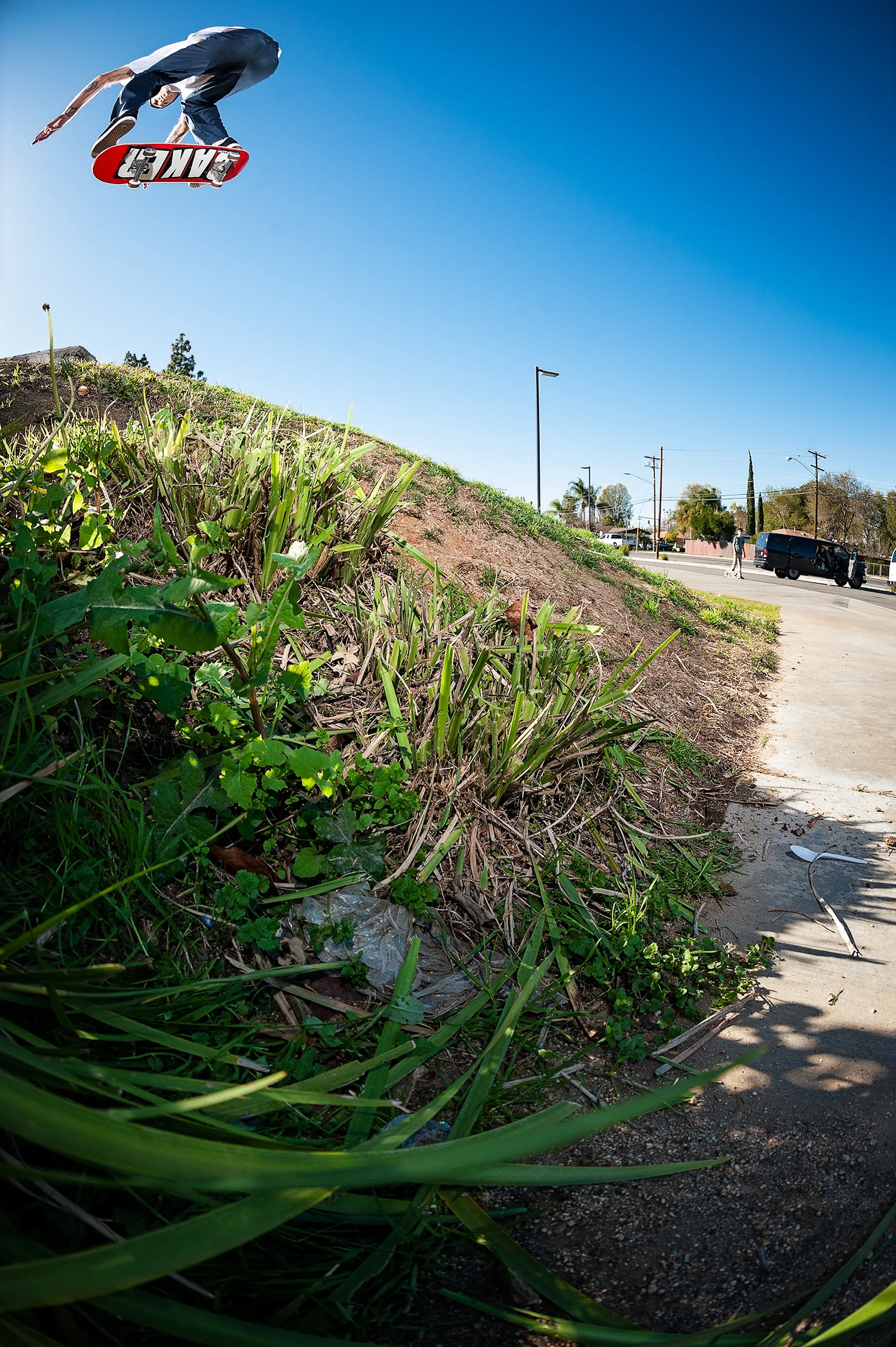 Andrew Reynolds for Independent Trucks