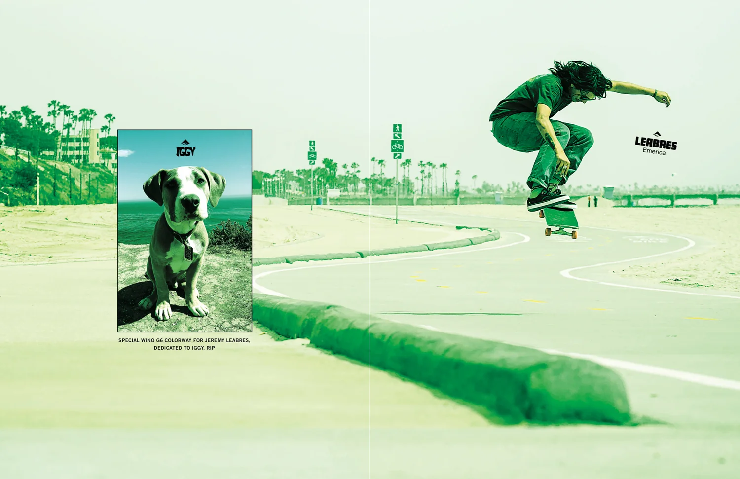 Emerica Spring '17 Catalog