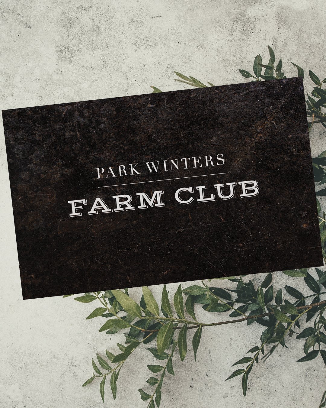 farm_club_IG.jpg