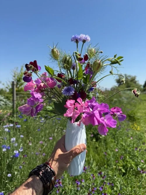 Pick Your Own Bouquet Experience - Sweet Spring Bouquet