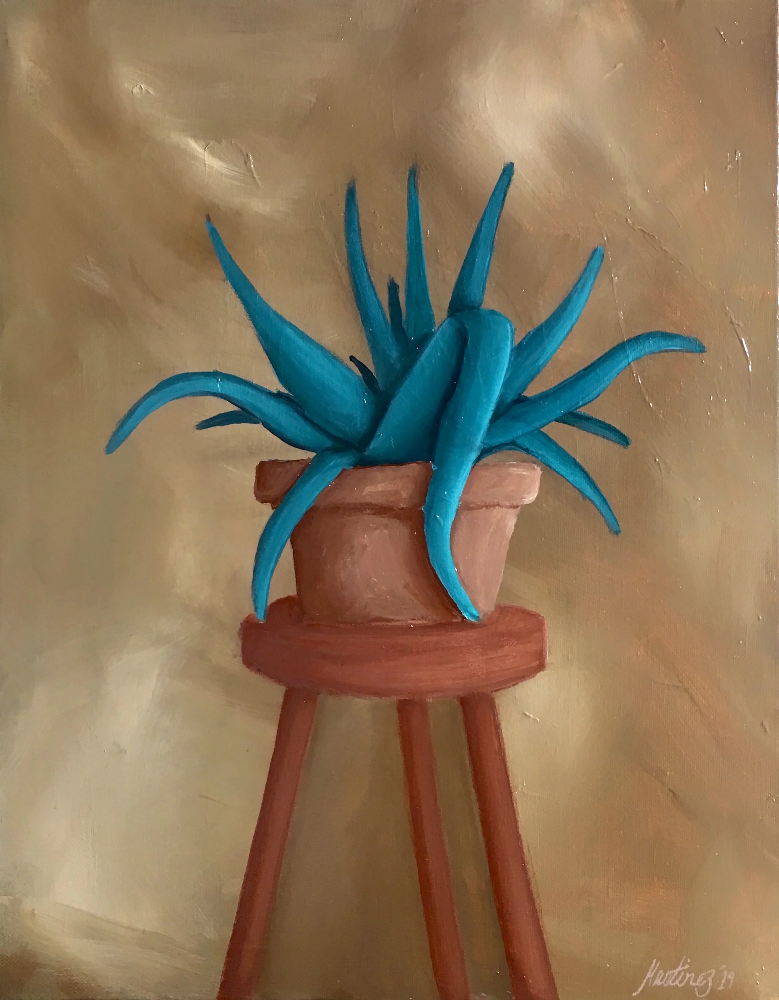 Aloe In Pot .jpg
