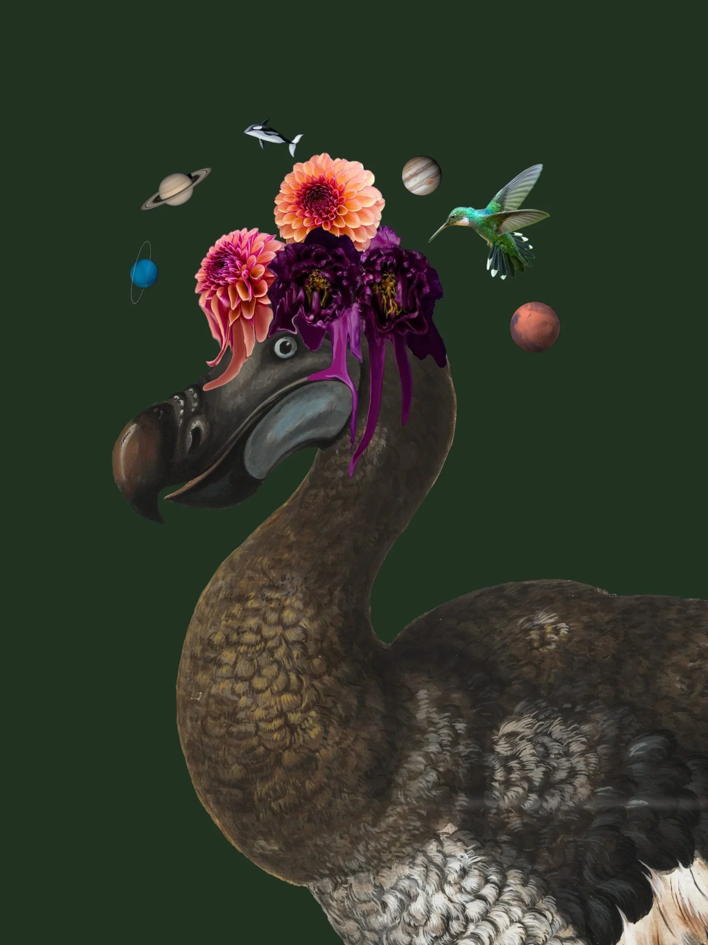 The Dodo. Digital Collage. Kinda what my head feels like these days 🦤🪐
#digital #collage #digitalcollage #seattleartist