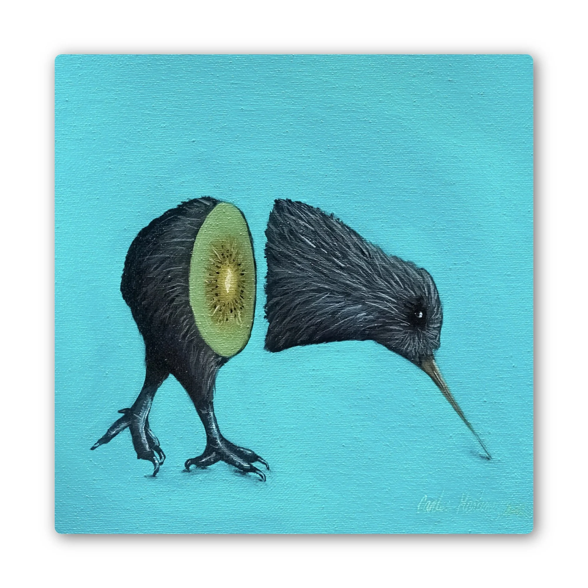 Kiwi Kiwi.jpg